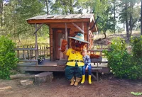 recently watched image