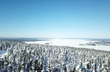 Vuokatinmaa Cottages