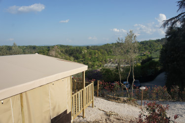 norcenni-girasole (3).jpg