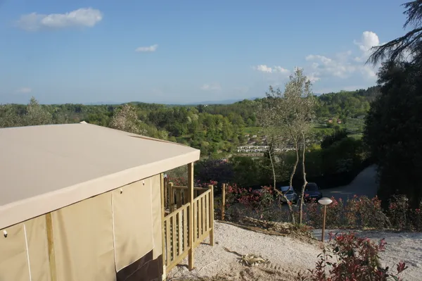 norcenni-girasole (3).jpg