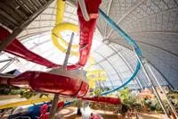 recently watched image