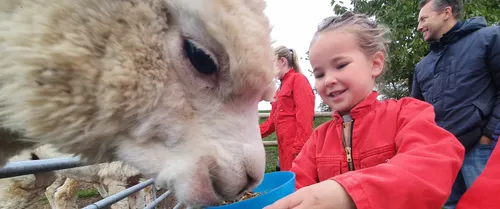 Je vakantie wordt een beestenboel bij FarmCamps
