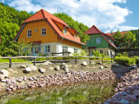 recently watched image