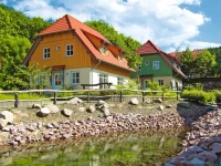 recently watched image