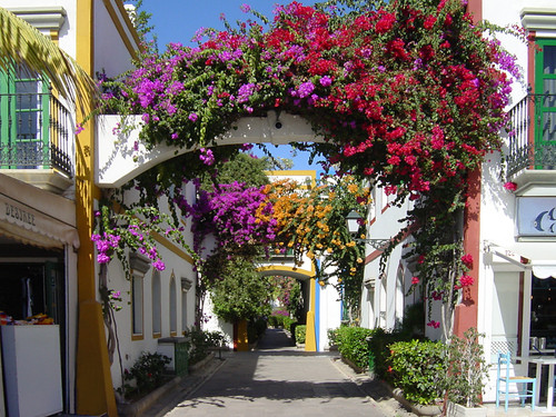 Familiehotel The Costa Taurito