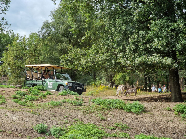 safaripark beekse bergen