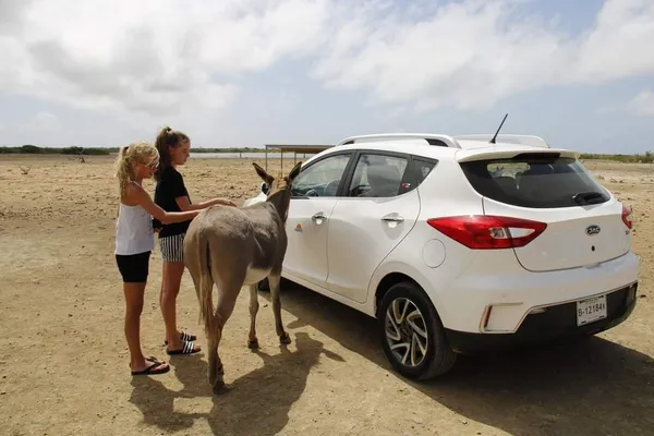 Donkey Sanctuary Bonaire