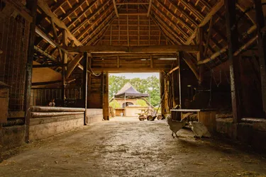 BoerenBed Landgoed Volenbeek