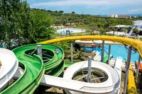 recently watched image