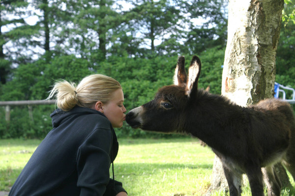 Vakantiepark Denemarken - Skallerup Seaside Resort