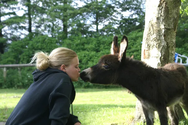 Vakantiepark Denemarken - Skallerup Seaside Resort 