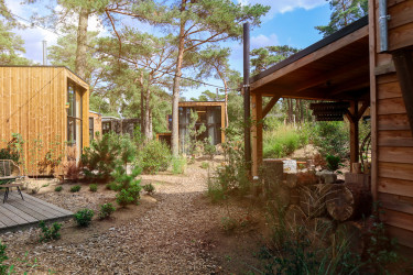 droomzomer-droompark-de-zanding (9).jpg