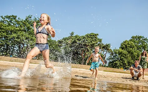Vakantiepark met zwemvijver