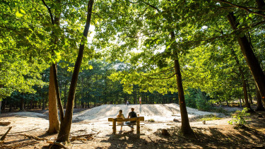 Molecaten Park Bosbad Hoeven