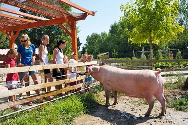 Camping Domaine de la Yole