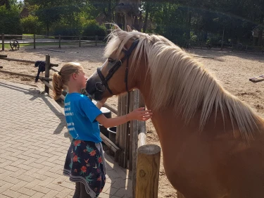 Kind aait pony bij kinderboerderij op Landal park Het Land van Bartje