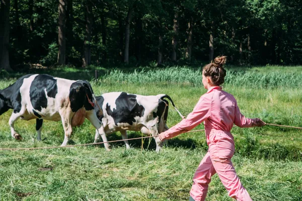 Een gezellige beestenboel met BoerenBed in Frankrijk