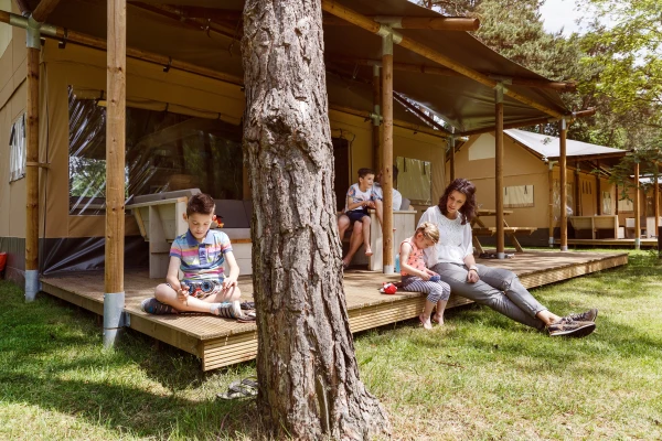 de-flaasbloem (14).jpg