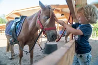 recently watched image