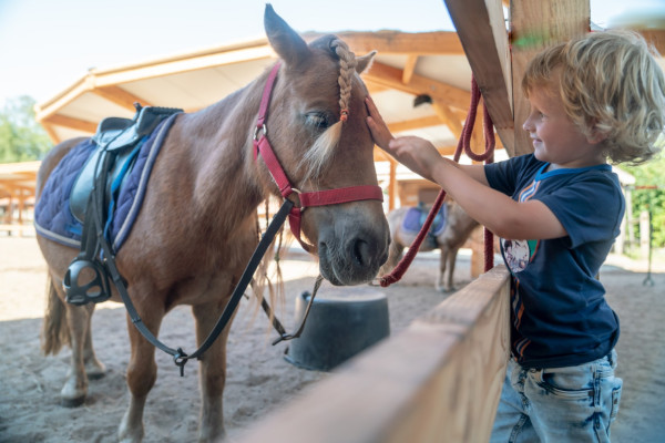 Hoofdafbeelding lente.jpg
