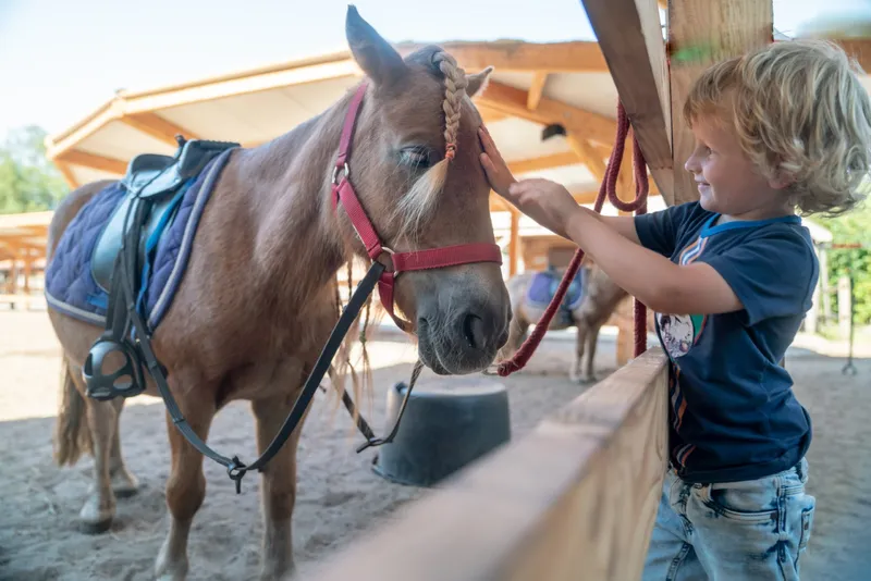 Een klein, lachend kind staat bij een houten hek en aait voorzichtig een lieve pony op de ponyranch van Landal het Land van Bartje in Drenthe.