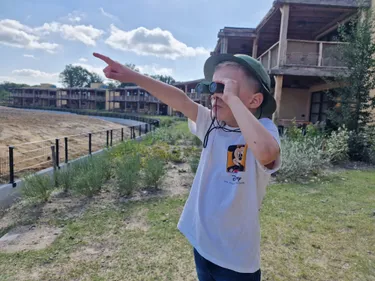 safari hotel beekse bergen