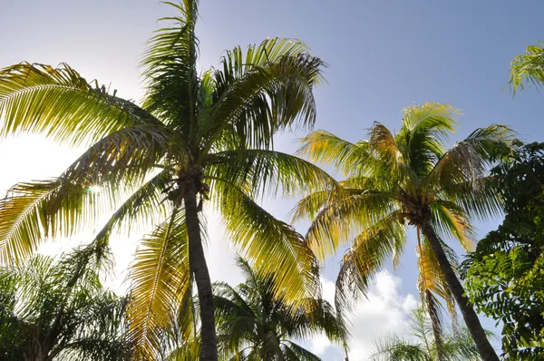 Madagaskar met kinderen  