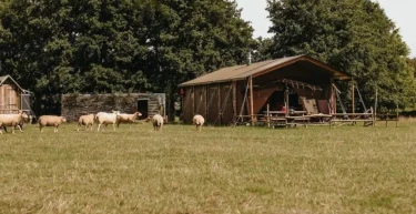 4 april 2025: opening van het nieuwe seizoen bij BoerenBed