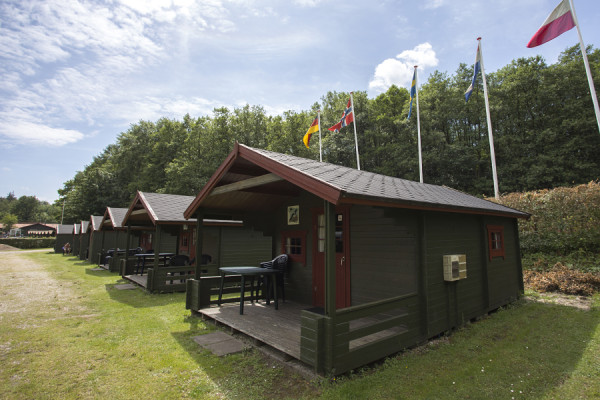 BS195012.jpg
