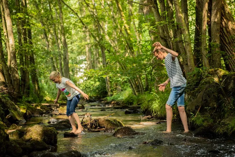 Landal Nature Parc Saint Hubert