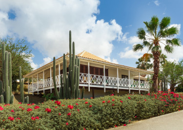 Papagayo Beach Resort