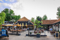 recently watched image