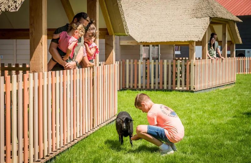 Vakantiepark Molenwaard