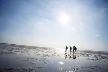 Center Parcs Nordseeküste