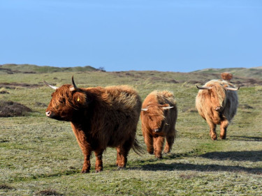 Landal Drentse Lagune