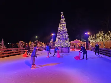 Beleef de magie van Light Safari Beekse Bergen