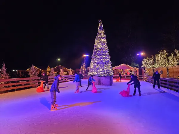 Beleef de magie van Light Safari Beekse Bergen