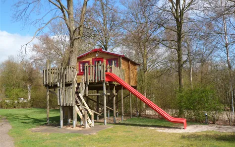 Boomhut overnachting