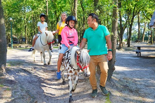 Pony vakantie