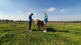 20220513_174151.jpg