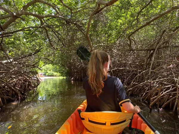 Kayak Mangrove Bonaire