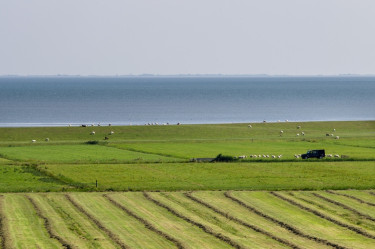 BoerenBed De Zeekraal
