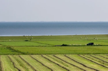 BoerenBed De Zeekraal 