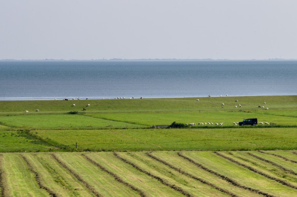 BoerenBed De Zeekraal