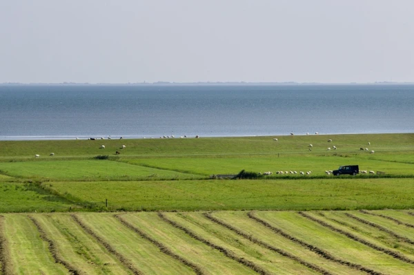 BoerenBed De Zeekraal 