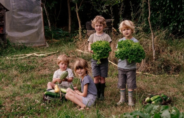 BoerenBed La Flocellière en Vendée