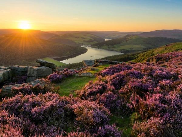 Vakantiepark Darwin Forest