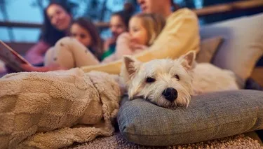 Nieuwe Premium Honden Cottages bij Center Parcs