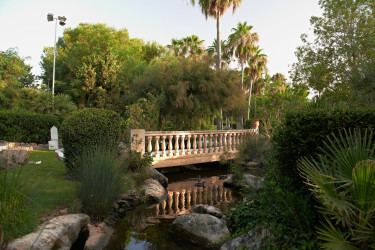 Protur Safari Park Mallorca (10).jpg