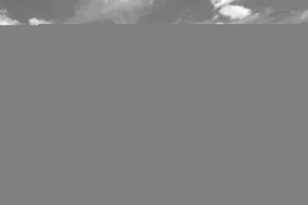 Iconisch beeld van grote knip op curacao, met parelwit strand en helderblauw water